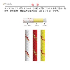 画像2: 【受注発注商品】 edelweiss エーデルワイス テンプ 11 mm 国内正規品 (2)