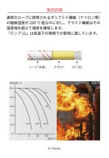 edelweiss Temp エーデルワイス テンプ 11 mm CSTPA11