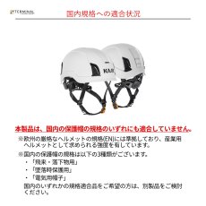 画像4: 【受注発注商品】 KASK カスク ゼニス X 国内正規品 (4)