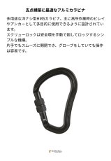 画像2: 【受注発注商品】 singing rock シンギングロック ヘクター スクリューロック ブラック 国内正規品 (2)