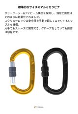 画像2: 【受注発注商品】 singing rock シンギングロック オキシー スクリューロック 国内正規品 (2)