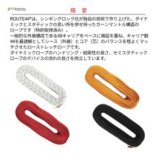 画像2: 【受注発注商品】 singing rock シンギングロック スタティックR44 10.5mm ブラック 1アイ 国内正規品 (2)