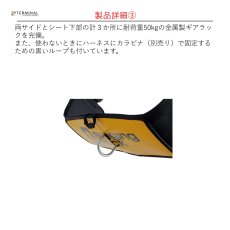 画像3: 【受注発注商品】 singing rock シンギングロック フランクリン 国内正規品 (3)
