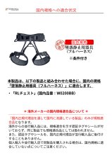 画像4: 【受注発注商品】 singing rock シンギングロック アーバンII 国内正規品 (4)