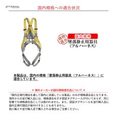 画像4: 【受注発注商品】 singing rock シンギングロック ボディII 国内正規品 (4)