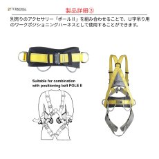 画像7: 【受注発注商品】 singing rock シンギングロック ボディII 国内正規品 (7)
