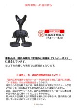 singing rock Expert 3D Standard シンギングロック エキスパート 3D スタンダードバックル オールブラック W0078DB