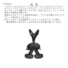 画像2: 【受注発注商品】 singing rock シンギングロック エキスパート 3D スピード オールブラック 国内正規品 (2)