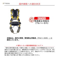 画像3: 【受注発注商品】 singing rock シンギングロック ボディII エナジー スピード 国内正規品 (3)