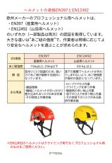 画像9: 【受注発注商品】 KASK カスク スーパープラズマ PL 国内正規品 (9)