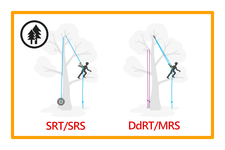 【技術・製品情報】[ツリーケア]SRT/SRSとDdRT/MRS
